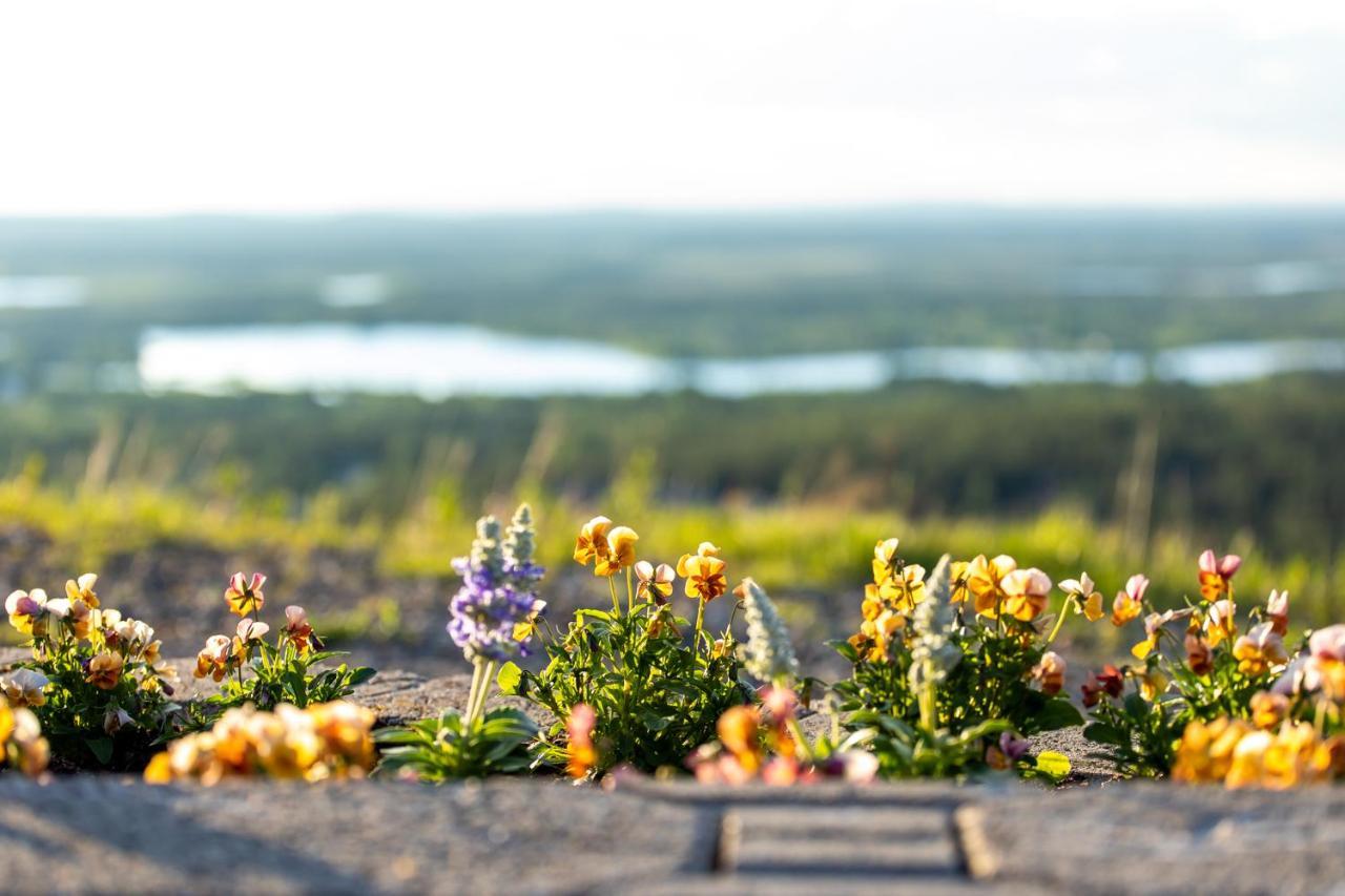 Holiday In Lapland - Levi Postintie 3B 322 Esterno foto
